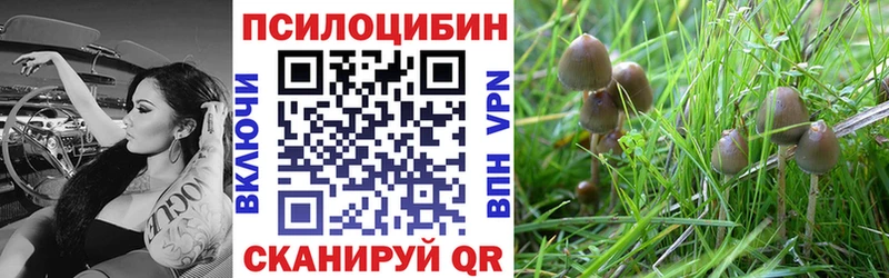 Псилоцибиновые грибы мицелий  продажа наркотиков  Россошь 